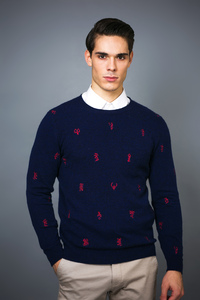 Man's  Embroidered Pure Cashmere Pullover